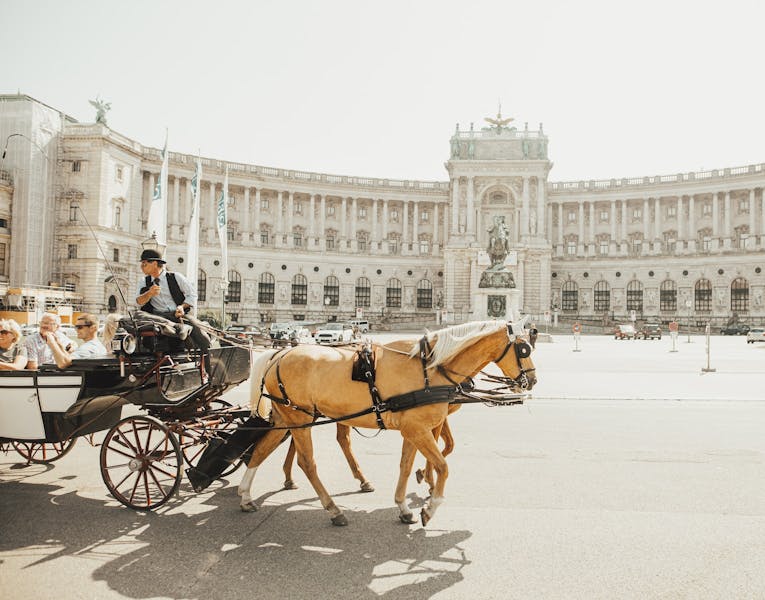 What To Do In Vienna, History And Culture.