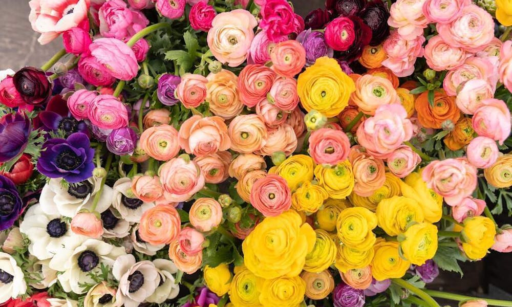 Zamów kwiaty z dostawą dzisiaj z Floraqueen