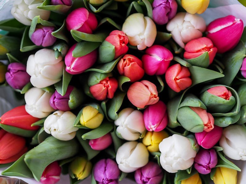 Where to Buy Bouquet of Flowers: The Ultimate Guide