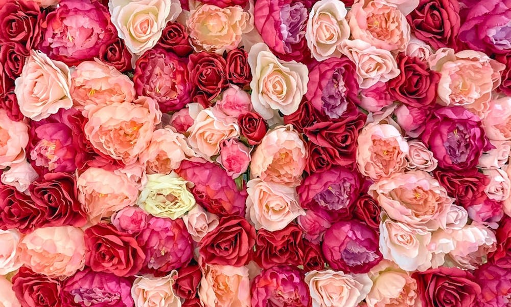 Wie man Rosen am Leben erhält: Ein umfassender Leitfaden zur Rosenpflege Banner