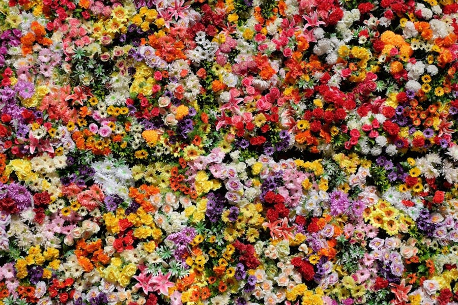 Types of Flowers: 158 Different Kinds of Flowers