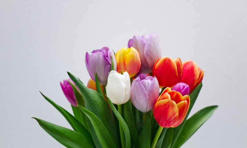 Wysyłanie kwiatów z Włoch do Hiszpanii z FloraQueen