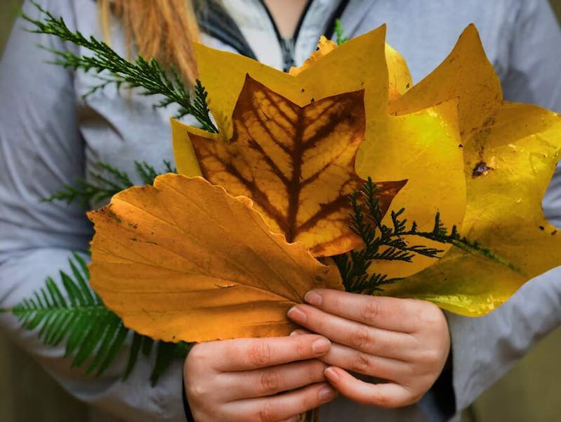 How To Keep Bouquet Fresh