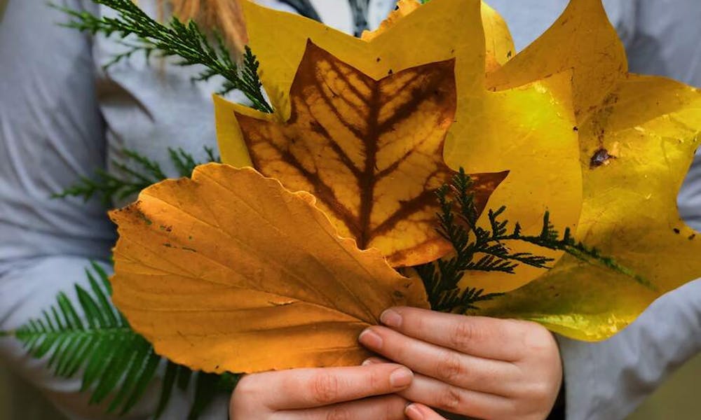 How To Keep Bouquet Fresh