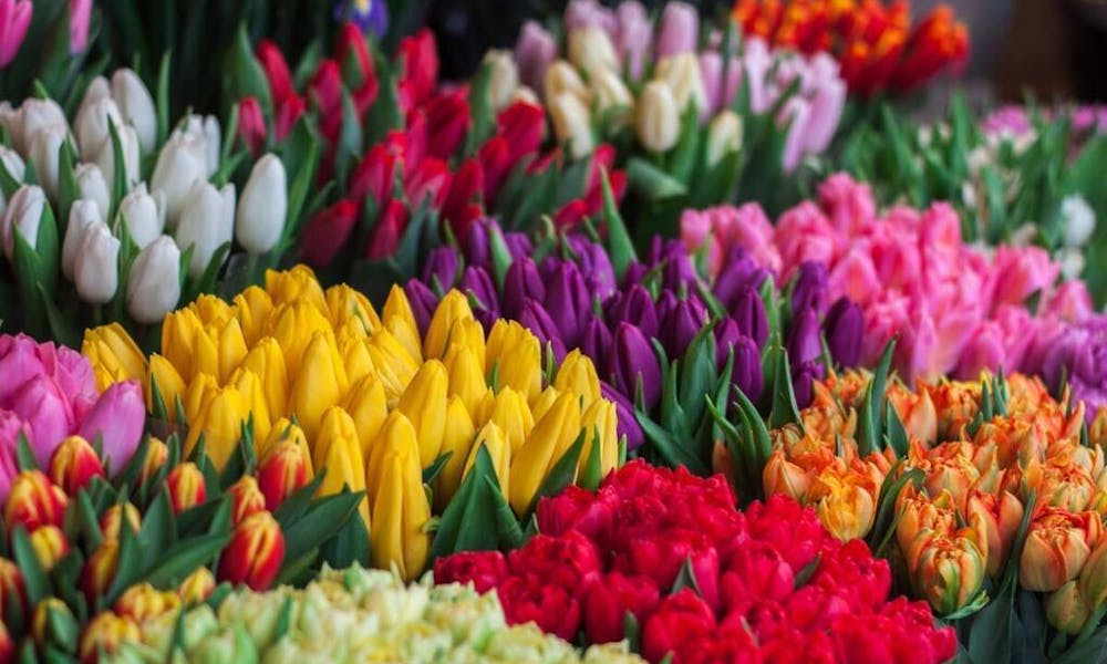 Como encomendar flores para a Espanha com o banner da Floraqueen