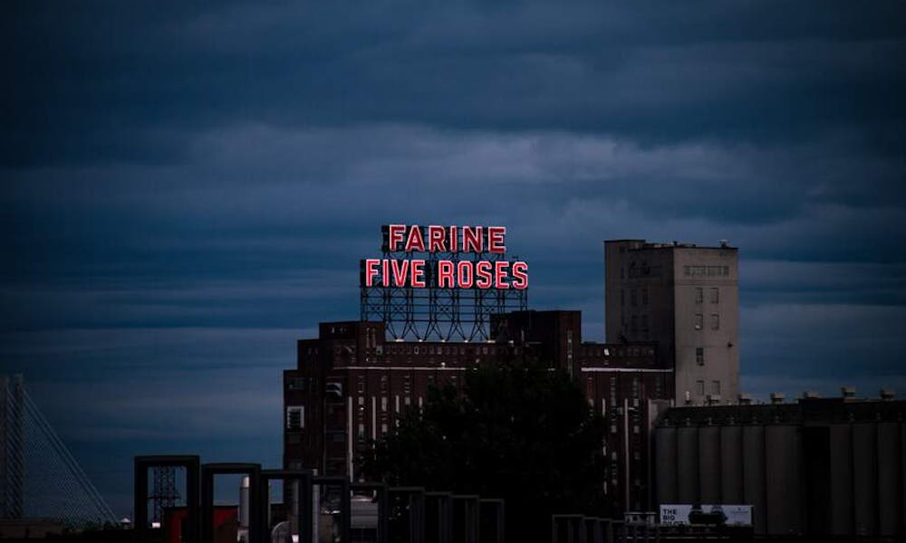 How Many Types Of Roses Are There