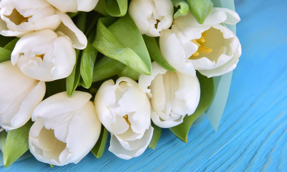 Eleganter Tulpenstrauß macht Ihren Frühling schöner und farbenfroher Banner