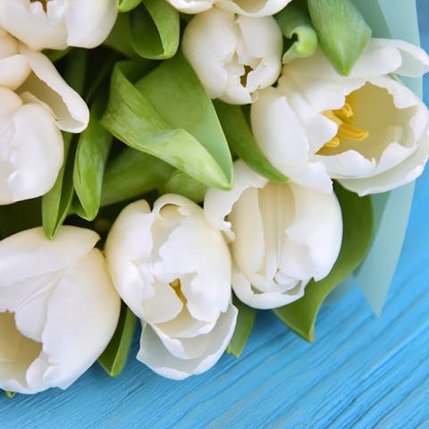 Elegant Tulip Bouquet Makes Your Spring More Beautiful and Colorful