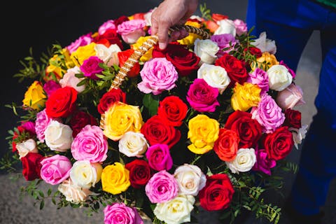 Multi-Colored Roses: The Beautiful Rainbow