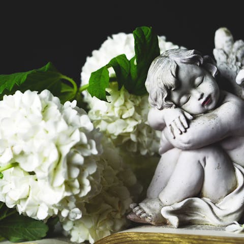 Send Sympathy Flowers to Shown Comfort and Support to the Deceased’s Family