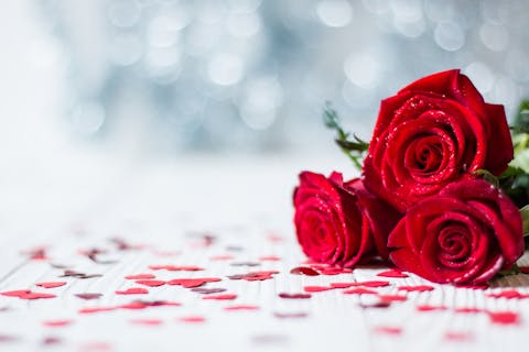 What Do Your Valentine’s Day Roses Say About You?