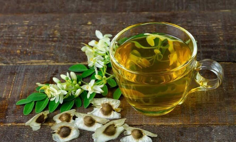 Jak uprawiać i dbać o rośliny moringa: Kompleksowy przewodnik po uprawie i pielęgnacji tego odżywczego superfoods