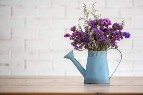 How to choose the best plants and flowers to decorate your home