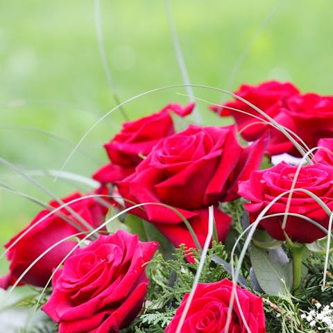 Discover the Best Memorial Flowers and Learn Which Flower Color to Express Your Most Sincere Feelings