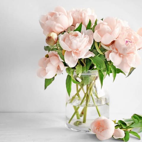 How Long Do Flowers Last and How Can We Enjoy A Fresh Bouquet