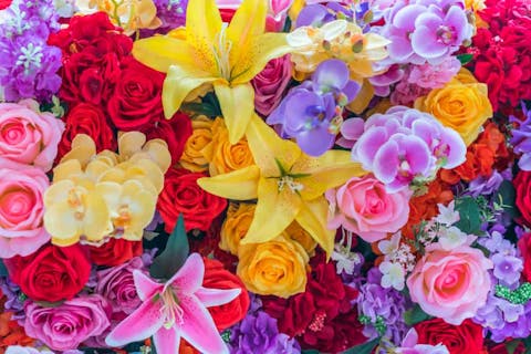 What Do Flowers Symbolize and Why Is It Important?