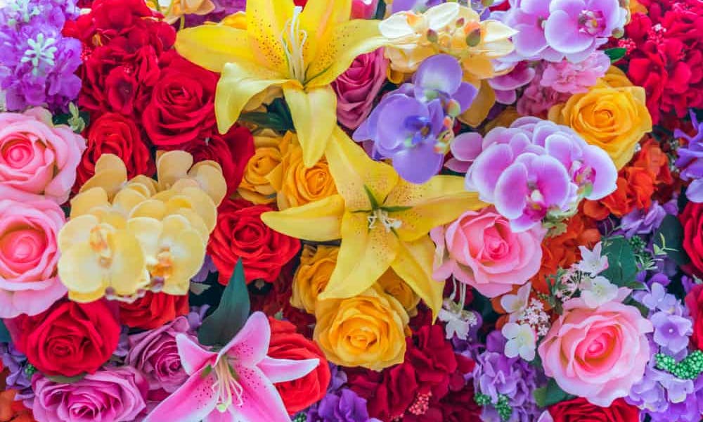 Was symbolisieren Blumen und warum ist das wichtig? Banner
