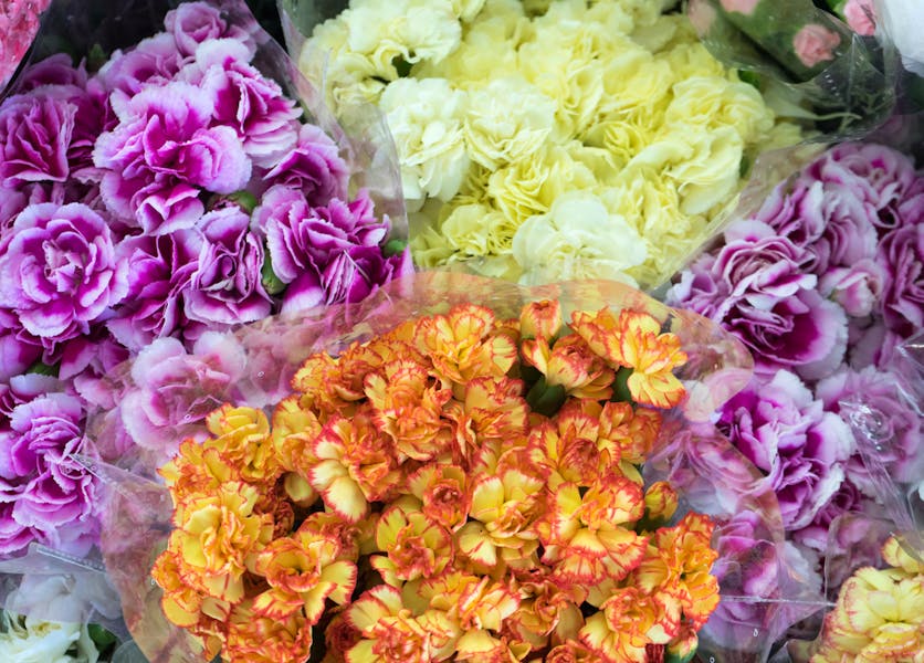 Why Should You Bulk Flowers Online: Discover the Possibilties