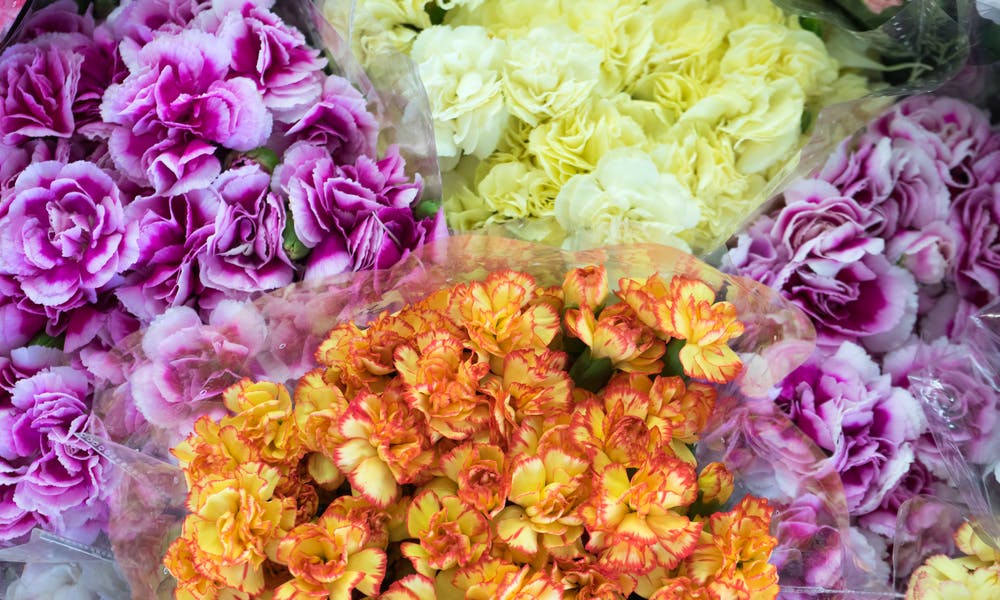 Por que você deve comprar flores em grande quantidade online: Descubra as possibilidades Banner
