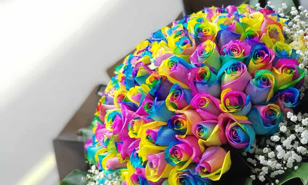 Use um Buquê de Rosas Arco-Íris como Decoração ou Presente para Seu Ent querido