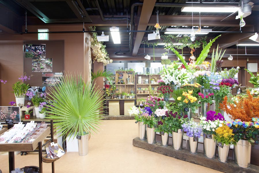 What to Look for When Searching the Internet for “Flower Store near Me?”