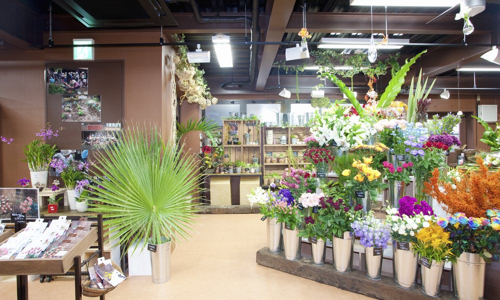 What to Look for When Searching the Internet for “Flower Store near Me?” Banner