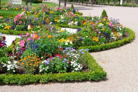 So Many Flower Beds: Which Should you Choose?