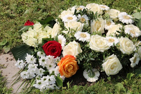 Learn the Meaning of Sympathy and Memorial Plants for Your Dear Ones