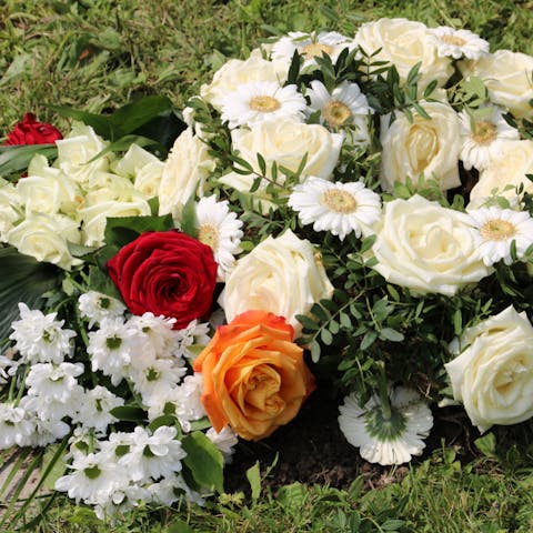 Learn the Meaning of Sympathy and Memorial Plants for Your Dear Ones