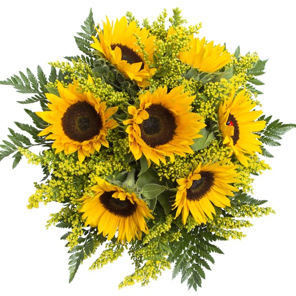 Sunflower Bouquet Delivery: The Many Benefits