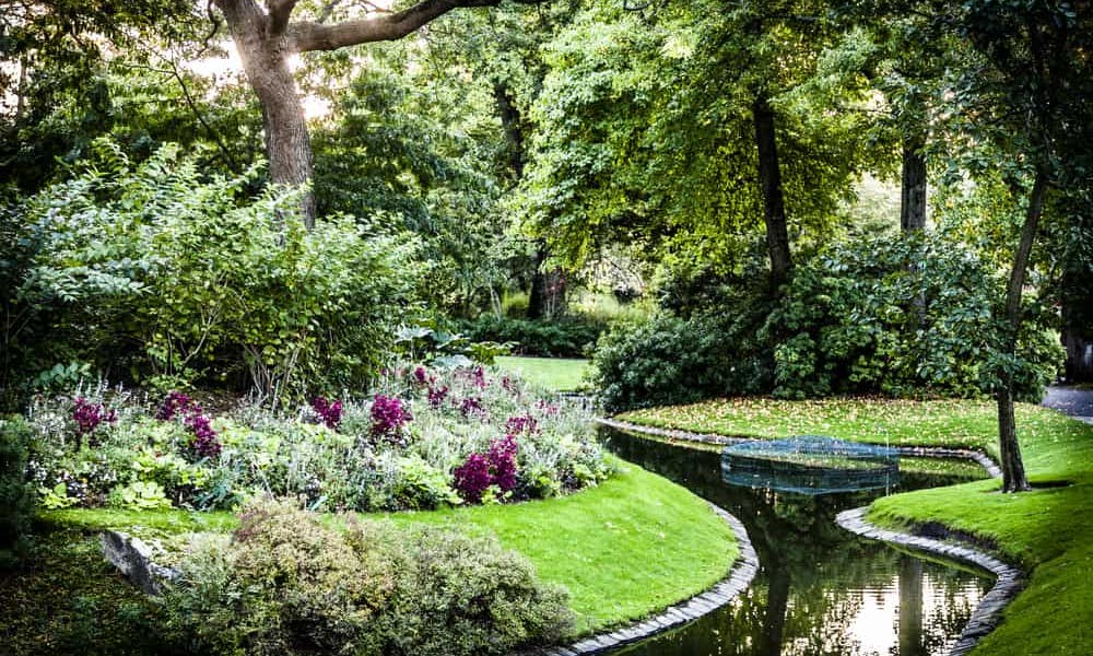 Zalety ogrodów botanicznych w mojej okolicy