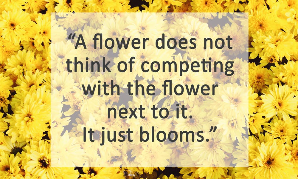 Learn Quotes about Flowers and Be Romantic Banner
