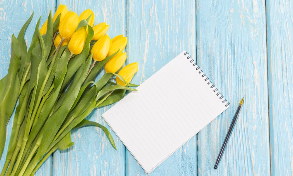 Uma Lista de Flores Amadas por Todos Banner