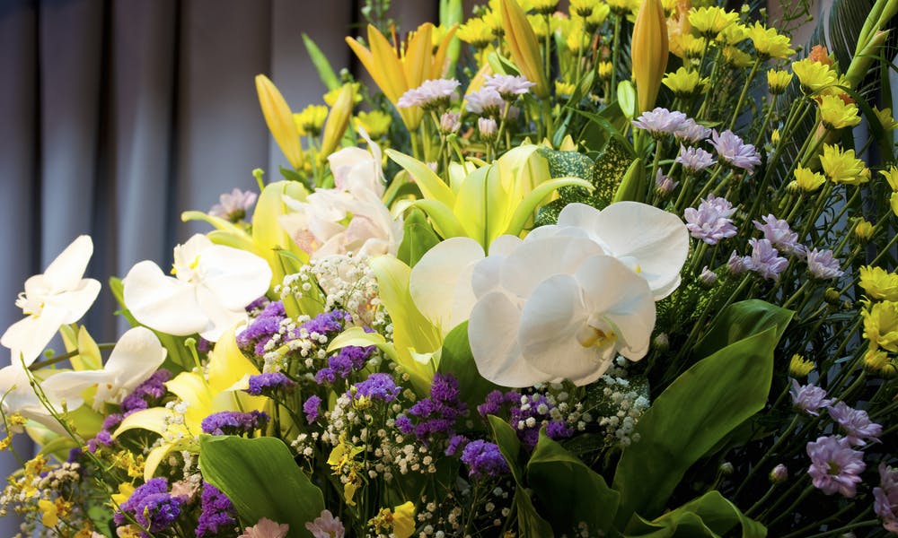 Enviando condolências através de plantas funerárias Banner