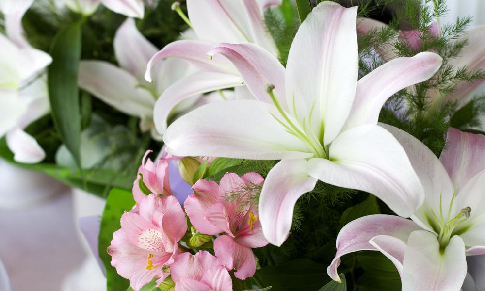 What to Send Instead of Flowers for Sympathy Banner