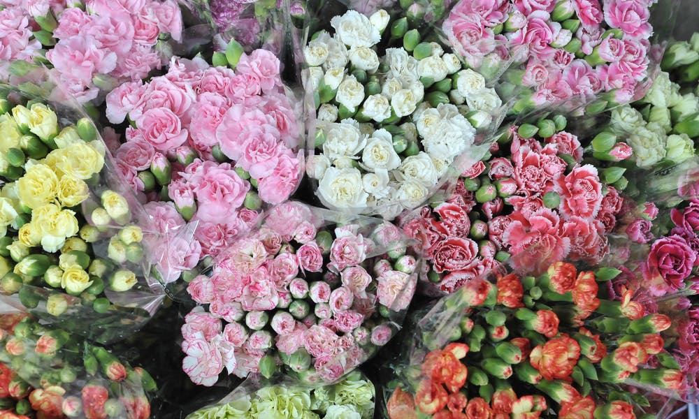 Benefícios de Comprar Flores por Atacado