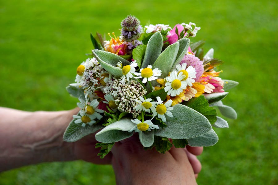 Posy Flower Meaning: An Ancient Expression of Love