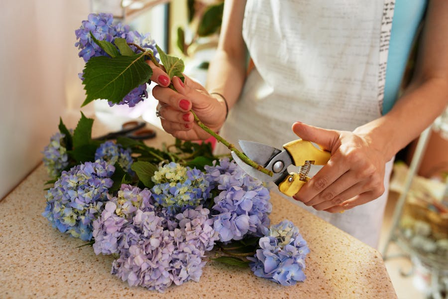 How to Cut a Flower Stem Correctly