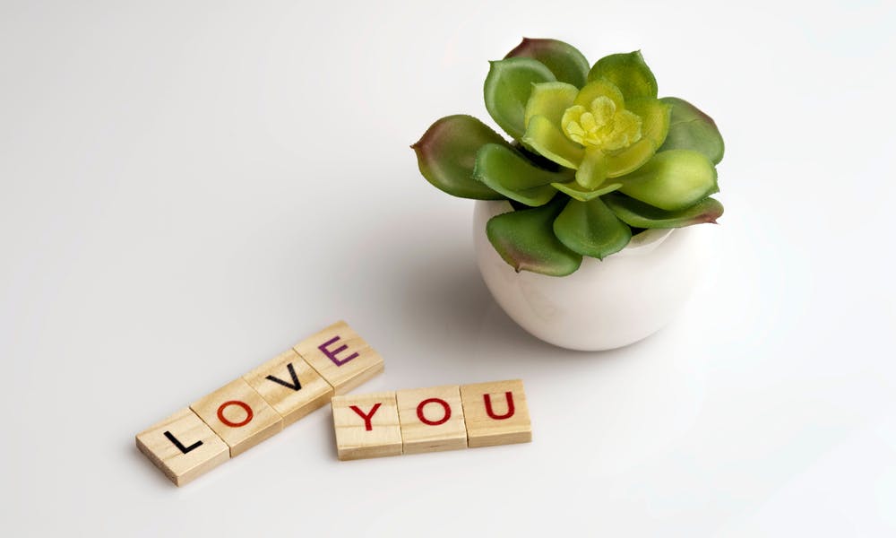 Express How You Feel Through Words of Romance Banner