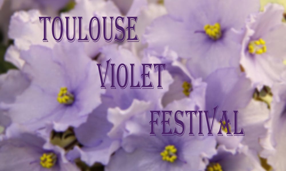 The Flowers of February: Violets Banner