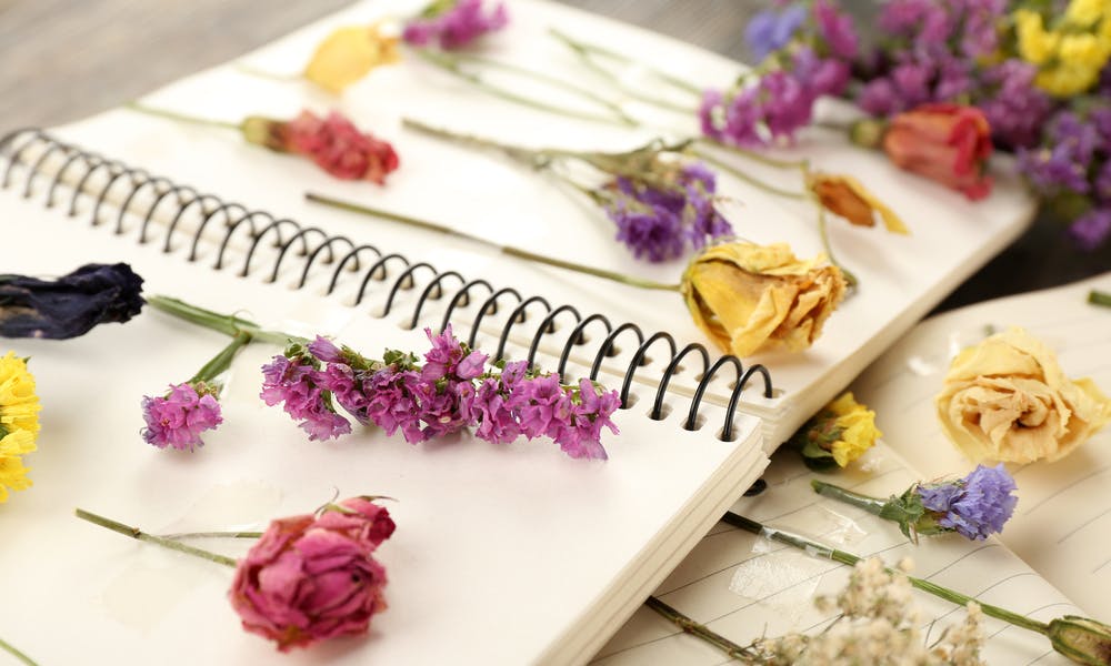 How to Dry Flowers: Keep Your Beloved Bouquet Longer Banner