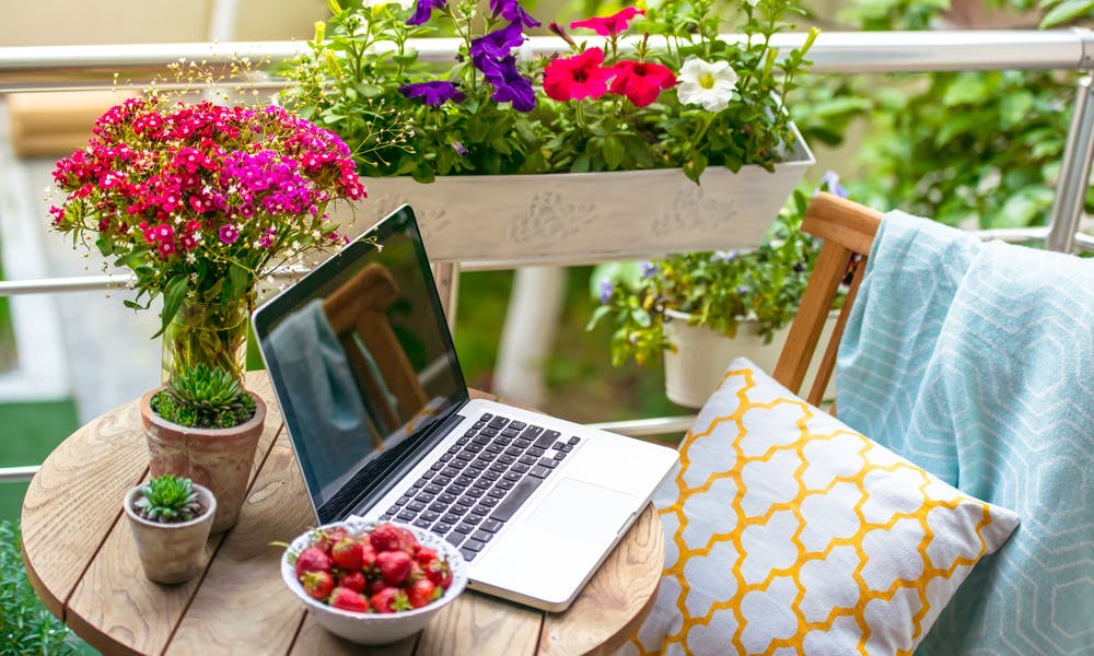 Schöner Blumenkasten für einen schönen Balkon – den ganzen Sommer lang – Banner