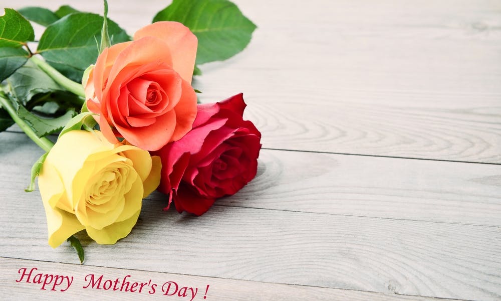 How to Pick the Best Mother’s Day Roses Banner