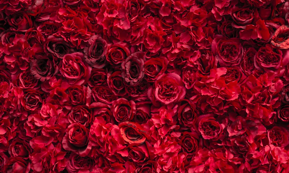 FloraQueen Oferece Grandes Buquês de Flores Banner