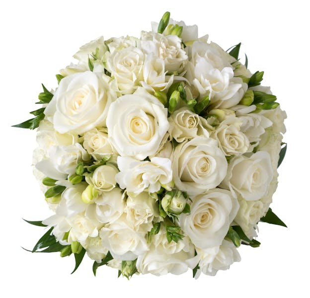 White Roses Delivery