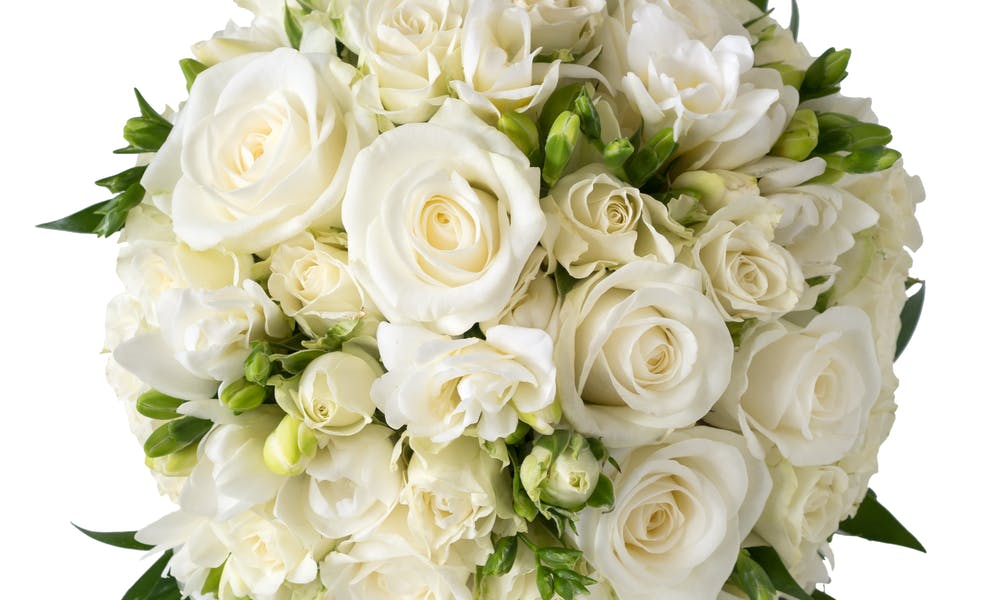 White Roses Delivery Banner