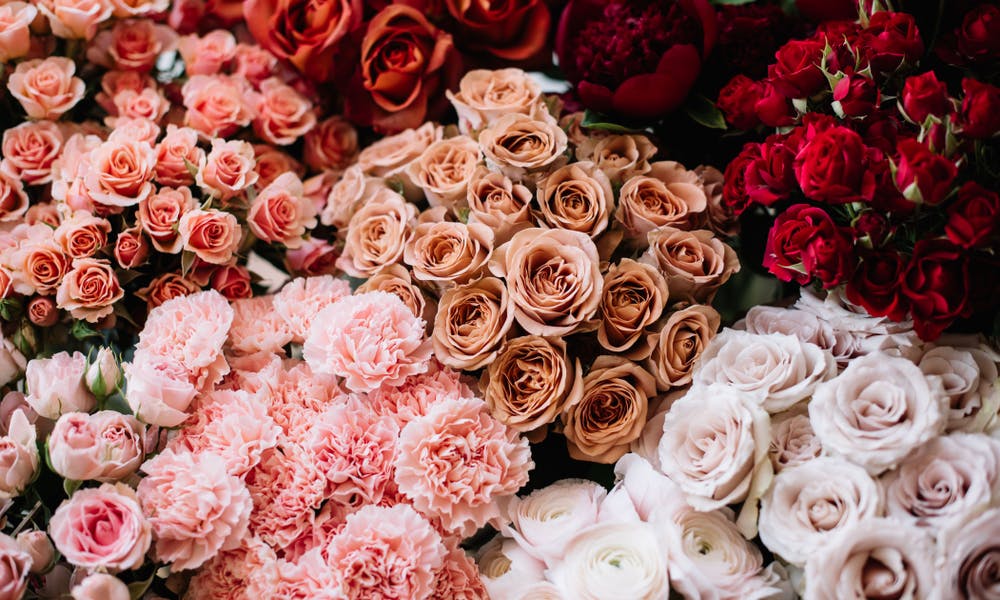 Rosen – Same-day-Lieferung – Banner