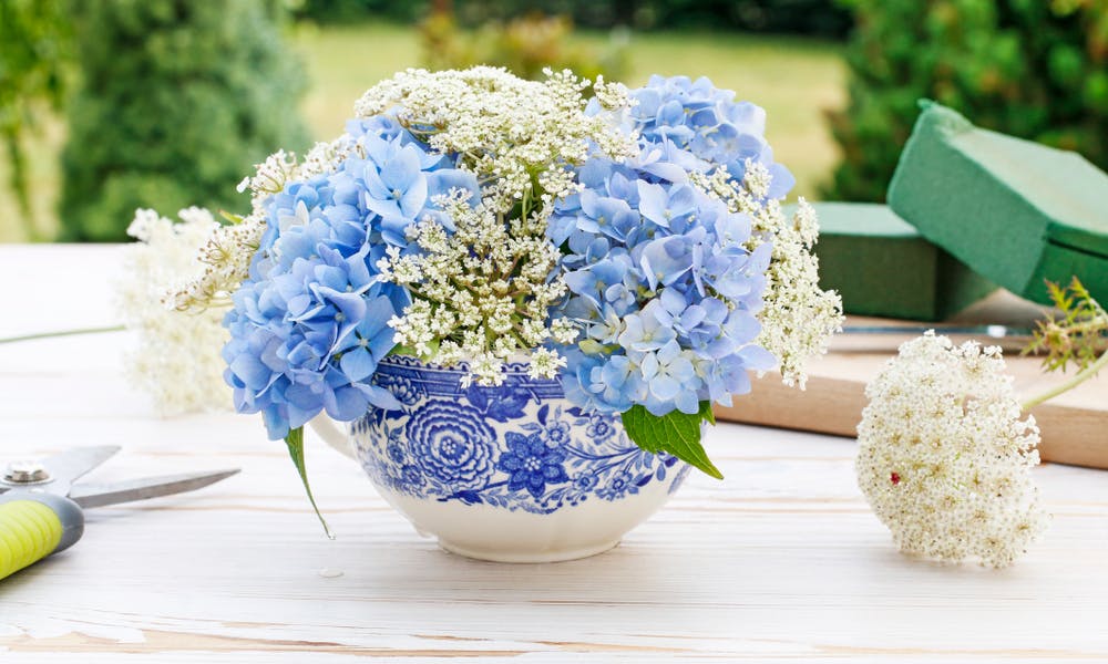 Budget-friendly Flowers with FloraQueen Banner