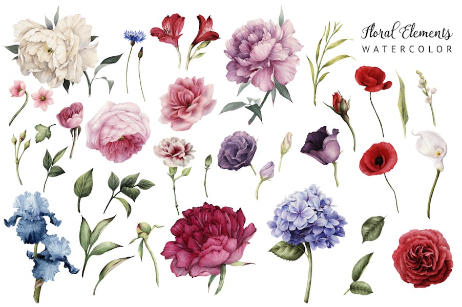 Bring Nature’s Beauty to Life with Watercolor Flowers