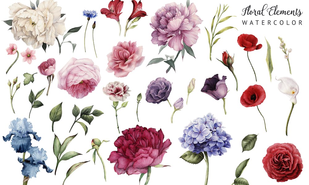 Bring Nature’s Beauty to Life with Watercolor Flowers Banner